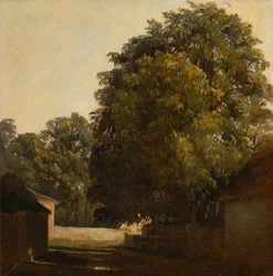 Paisagem, com, árvore castanha